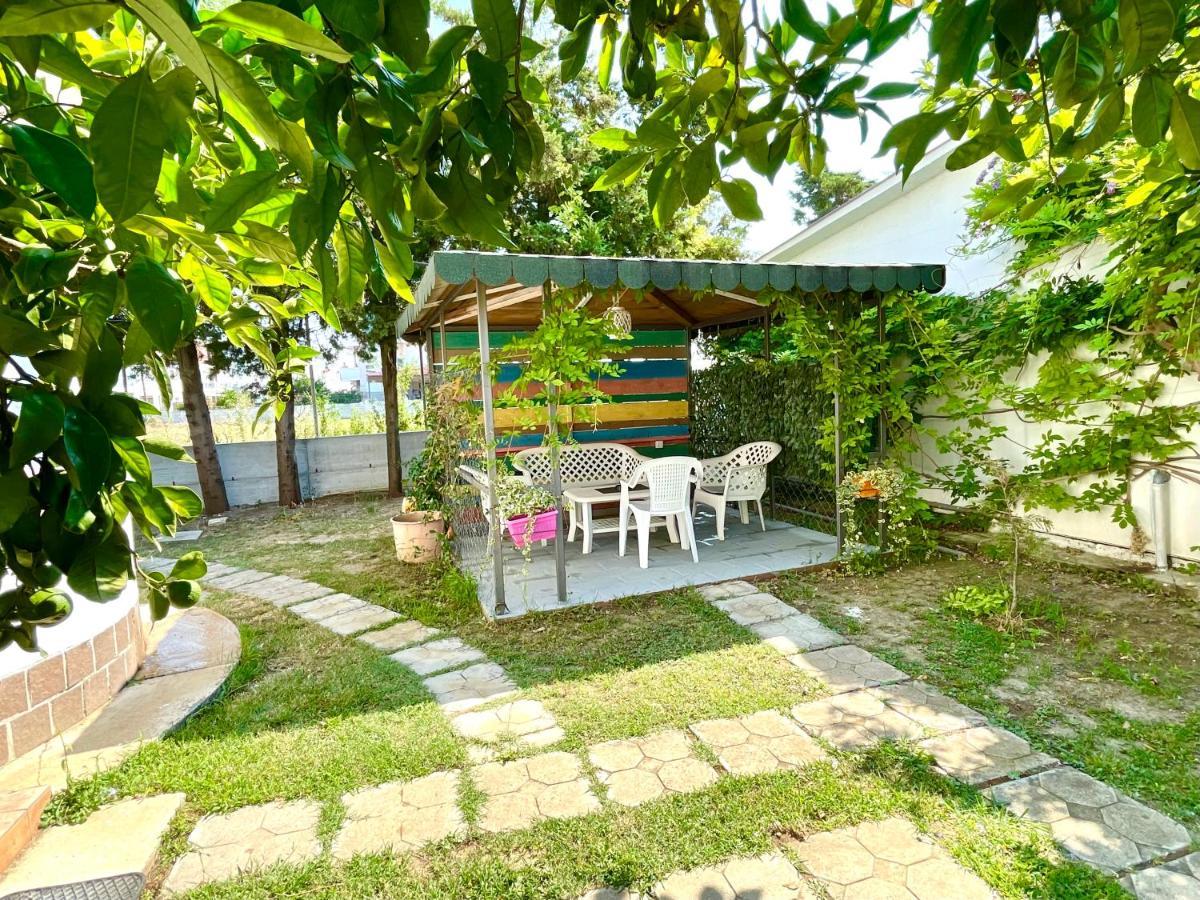 Apartments Flamingo أولتْسي المظهر الخارجي الصورة