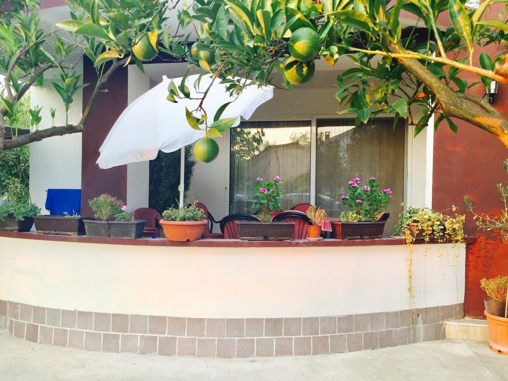 Apartments Flamingo أولتْسي المظهر الخارجي الصورة