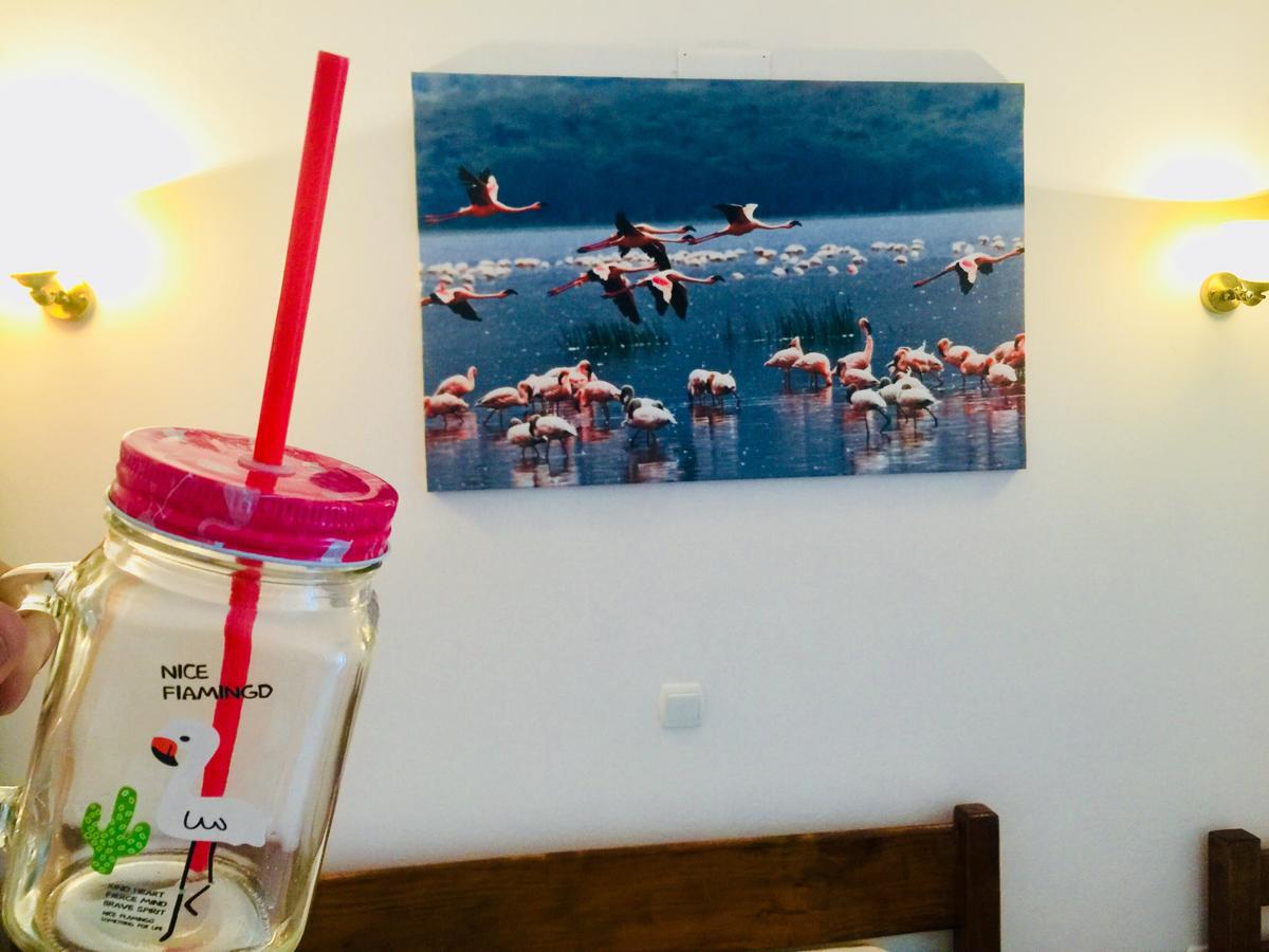Apartments Flamingo أولتْسي المظهر الخارجي الصورة